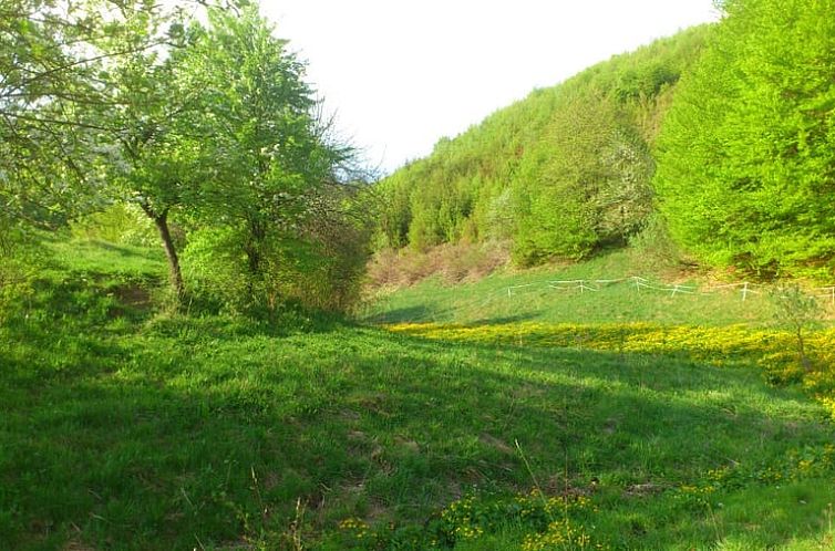 Vakantiehuis in Zvolen - Kralova