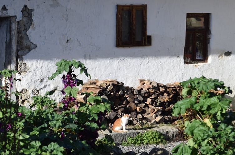 Vakantiehuis in Zvolen - Kralova