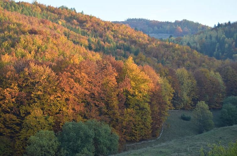 Vakantiehuis in Zvolen - Kralova
