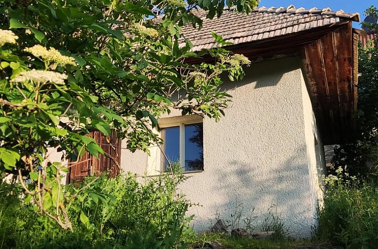 Geniessen Sie die Ruhe und den Frieden im Holiday home in Zvolen, einem charmanten Ferienhaus im gruenen Herzen von Banska Bystrica, Slowakei.