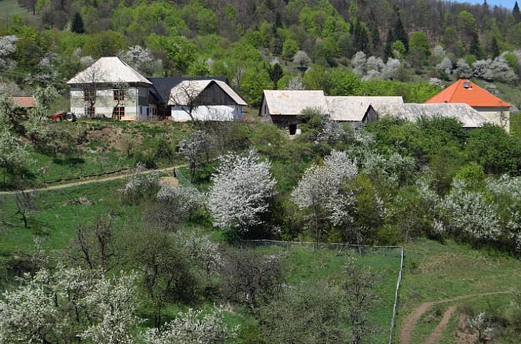 Vakantiehuisje in Zvolen