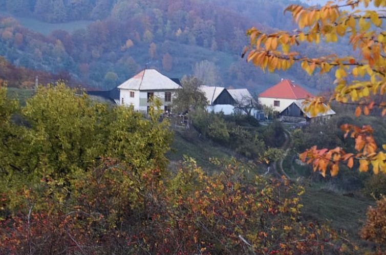 Vakantiehuisje in Zvolen