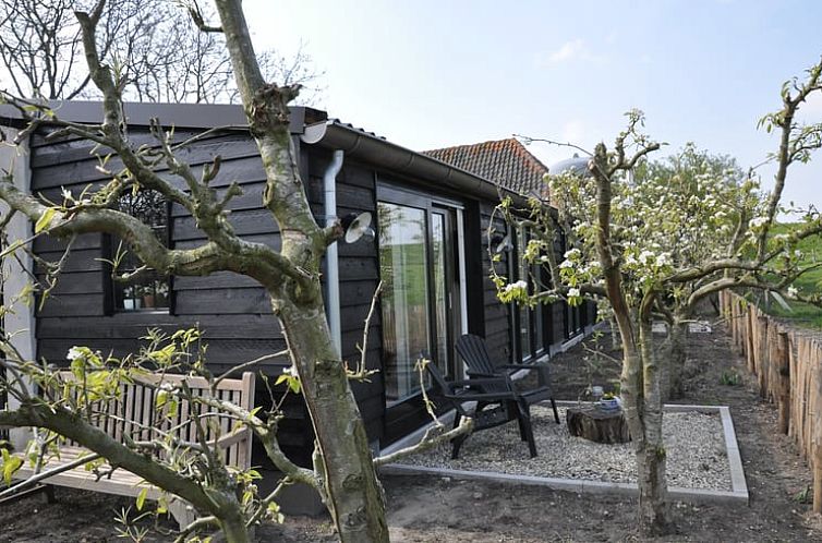 Vacation home in Culemborg with rustic terrace and flowering trees in Gelderland.