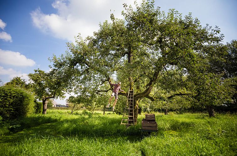 Vakantiehuis in Culemborg