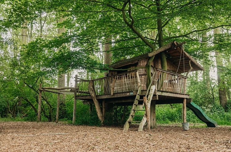 Vakantiehuisje in Altforst