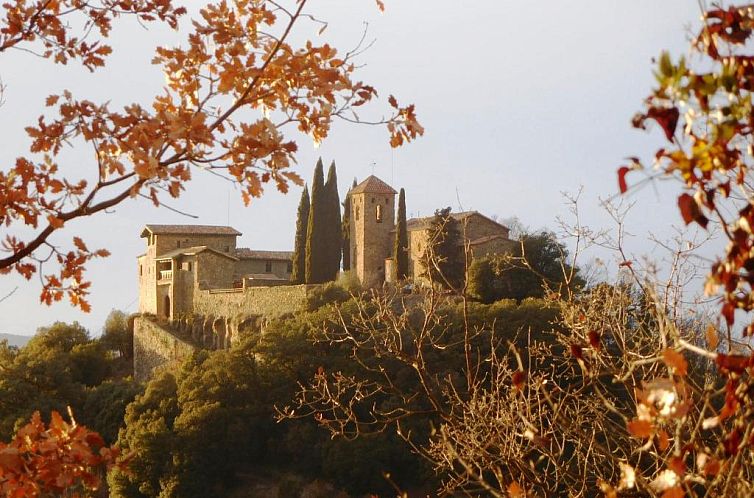 Castell de Llaés