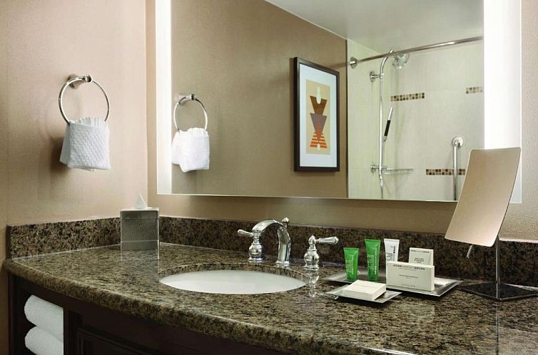 Hilton Arlington