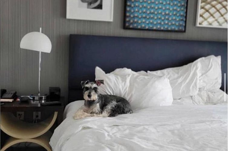 Le Meridien Arlington