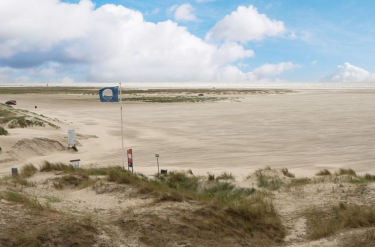 Appartement "Mijat" - 50m from the sea