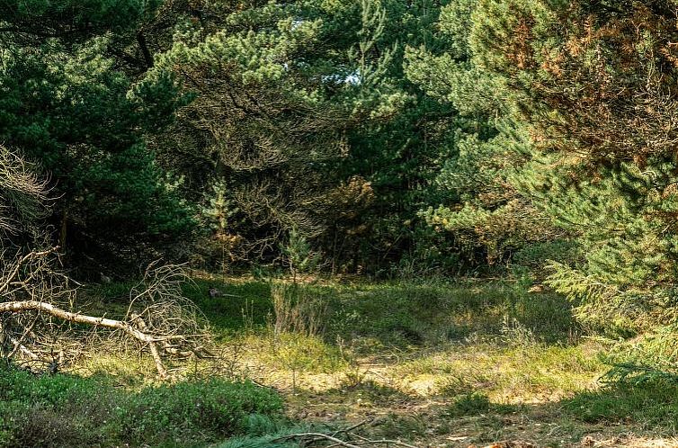 Vakantiehuis "Herborg" - 1km from the sea