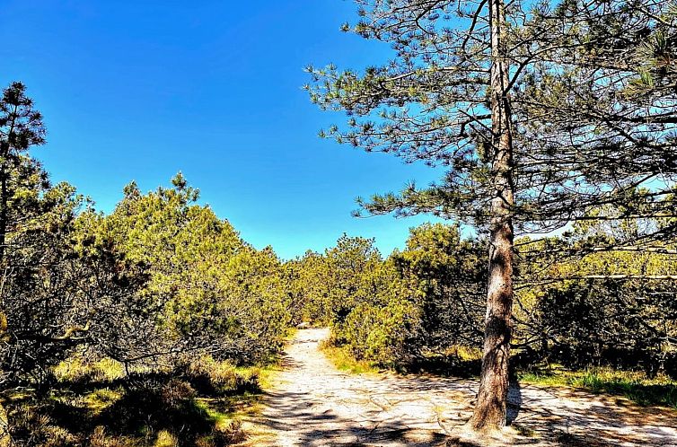 Vakantiehuis "Neia" - 640m from the sea