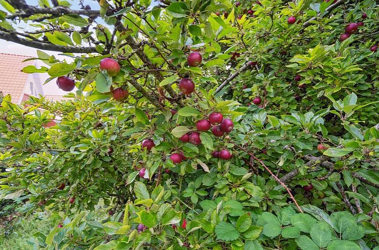 Vakantiehuis "Magh" - 9.8km from the sea