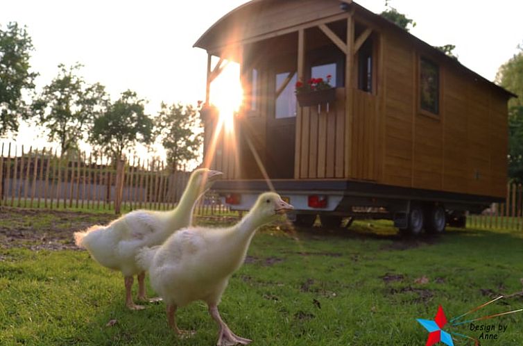 Vakantiehuis in Opheusden