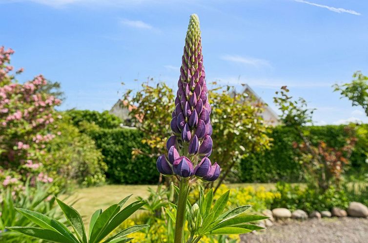 Vakantiehuis "Keld" - 350m from the sea