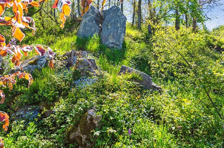 Vakantiehuis "Henric" - 75m from the sea