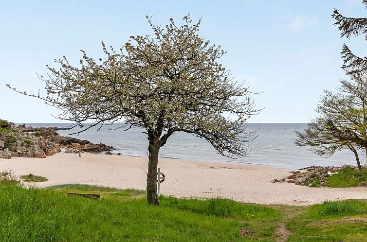 Appartement "Kate" - 300m from the sea