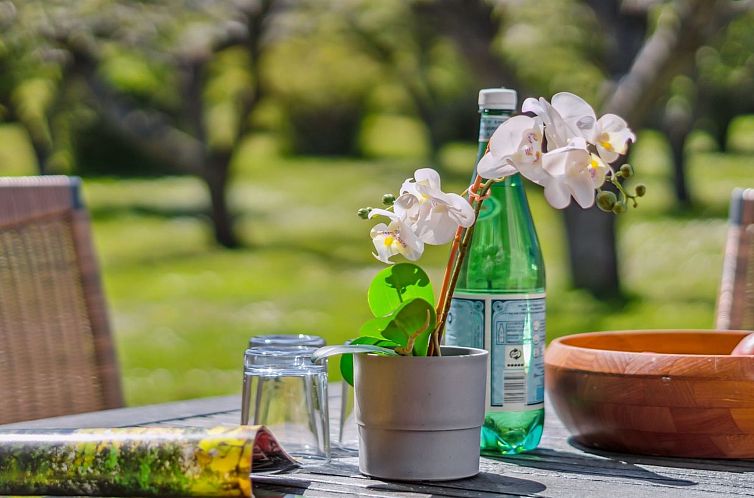 Appartement "Bratko" - 300m from the sea