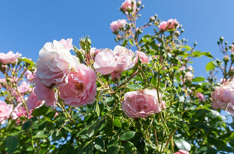 Vakantiehuis "Pimen" - 200m from the sea