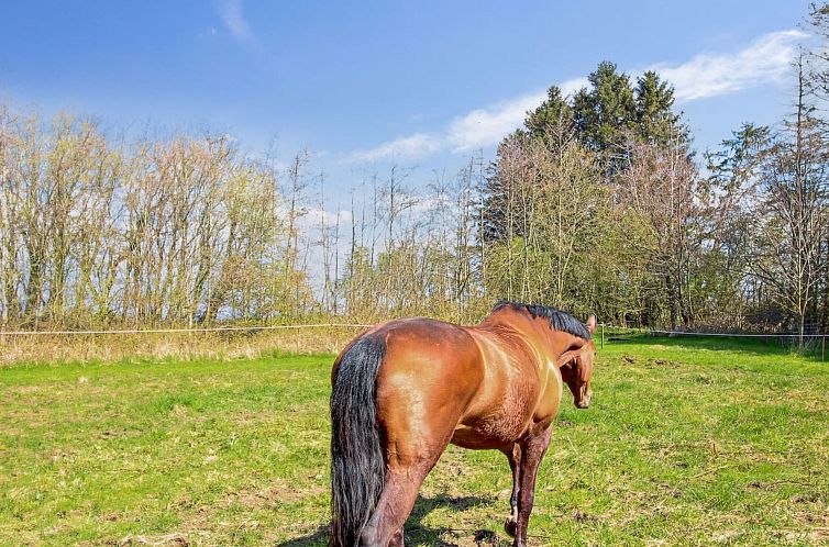 Vakantiehuis "Thana" - 8km from the sea