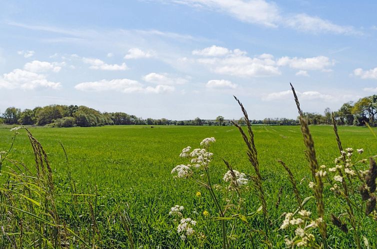 Vakantiehuis "Aarni" - 6.5km from the sea