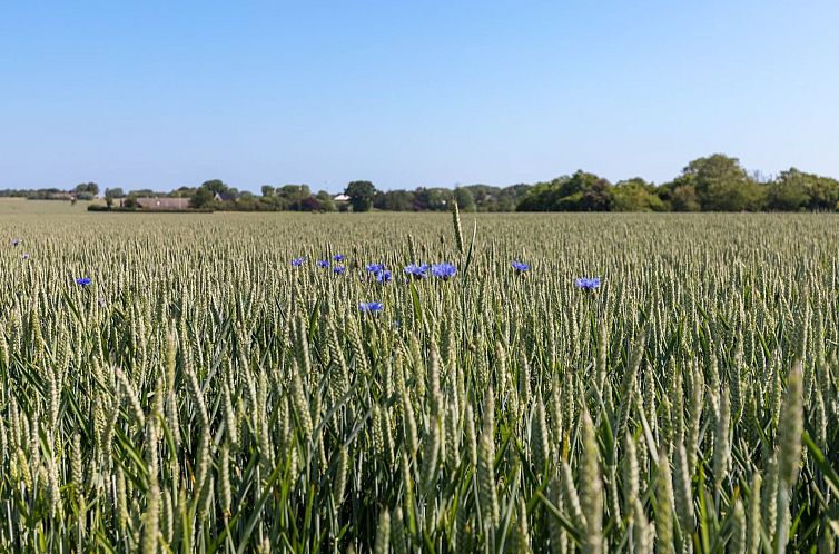 Vakantiehuis "Nilia" - 3.5km from the sea