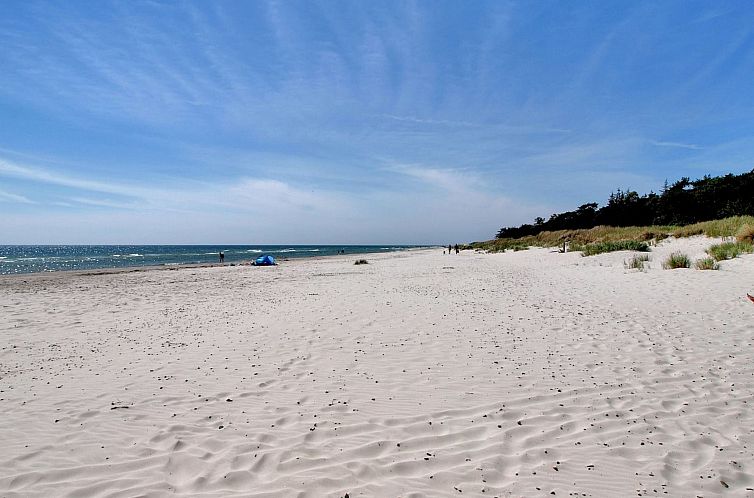 Vakantiehuis "Hallgerd" - 800m from the sea