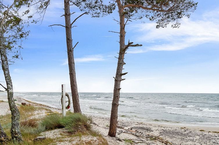 Vakantiehuis "Hallgerd" - 800m from the sea