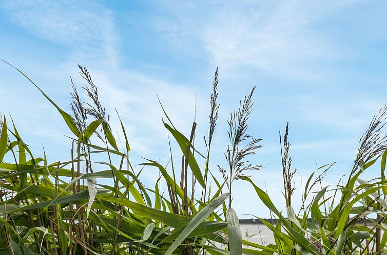 Vakantiehuis "Algeth" - 350m from the sea