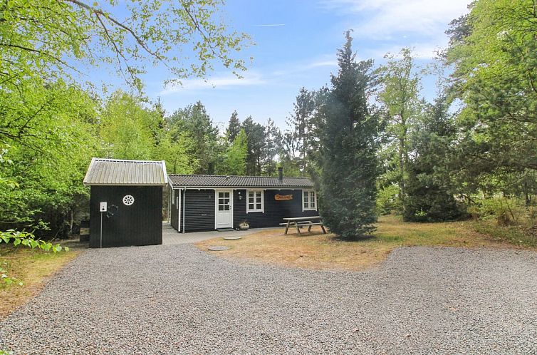 Vakantiehuis "Zeytun" - 800m from the sea