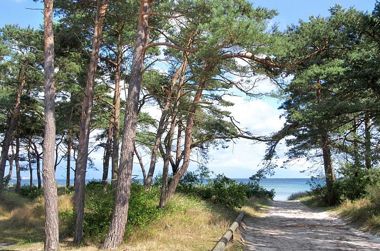 Appartement "Felicia" - 200m from the sea