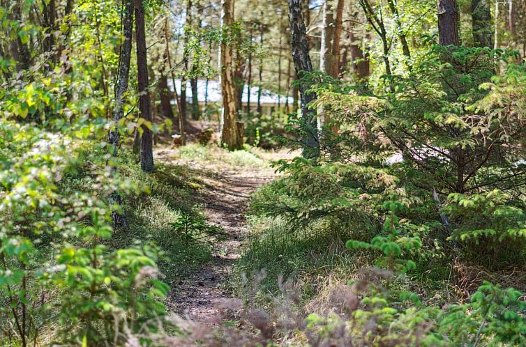 Vakantiehuis "Tom" - 125m from the sea