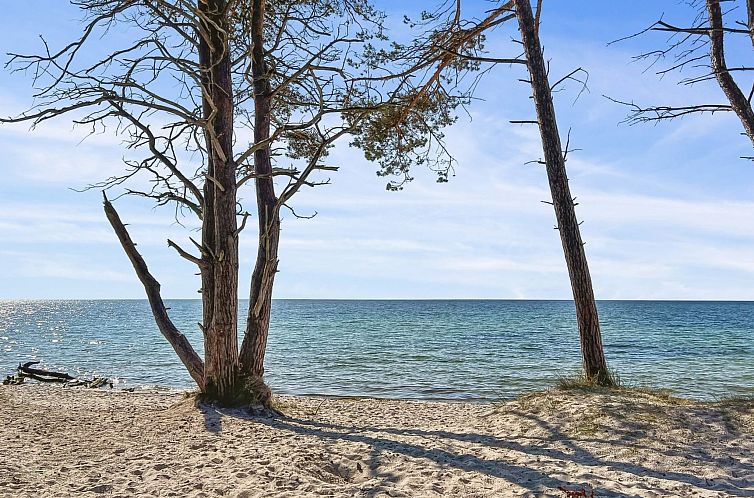 Vakantiehuis "Reinke" - 450m from the sea