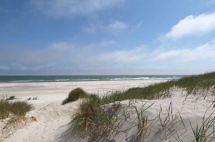 Vakantiehuis "Reinke" - 450m from the sea