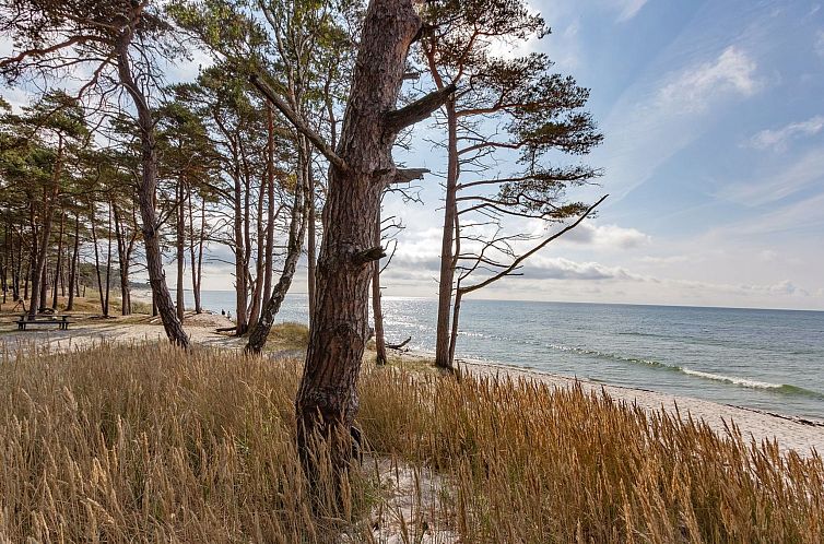 Vakantiehuis "Hildegerd" - 500m from the sea