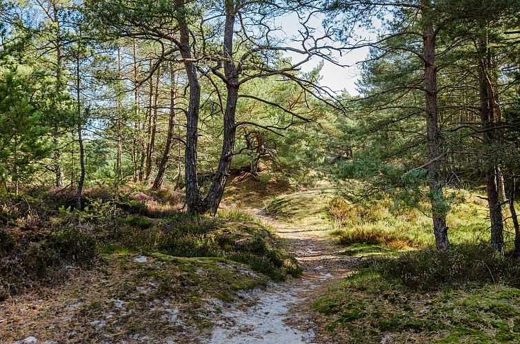 Vakantiehuis "Elza" - 800m from the sea