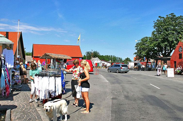 Vakantiehuis "Evert" - 250m from the sea