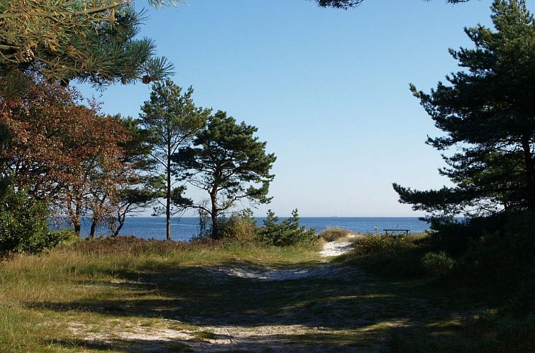 Vakantiehuis "Elsamaria" - 400m from the sea