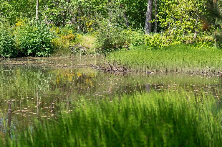 Vakantiehuis "Smilla" - 300m from the sea
