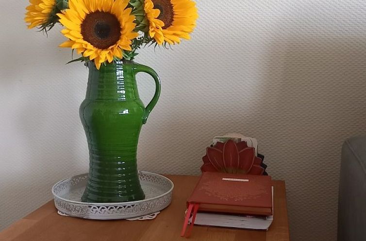 Vakantiewoning Hogeweg