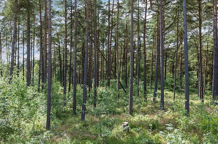 Vakantiehuis "Anarosa" - 200m from the sea