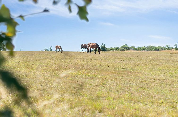Appartement "Cornelia" - 6km from the sea
