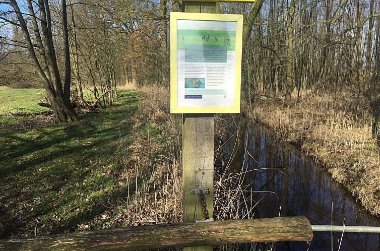 Vakantiehuis Geräumiges Ferienhaus mitten im Wald