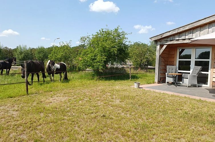 Huisje in Barchem met terras en uitzicht op paarden, vakantiehuis in Achterhoek, Gelderland.