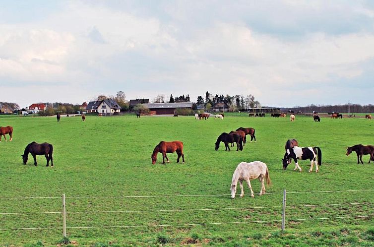 Ferienwohnung Bergblick Xanten