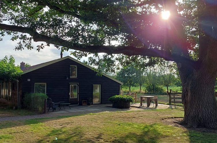 Vakantiehuis in Ruurlo