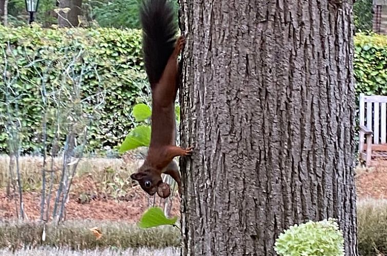 Vakantiehuis in Ruurlo