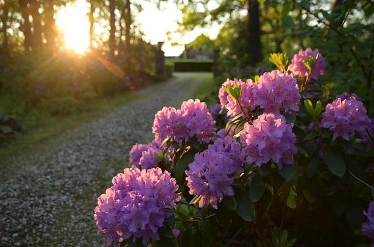 Vakantiehuis in Ruurlo