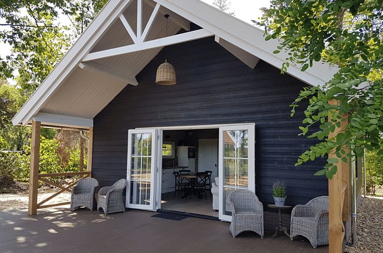 Ferienhaus in Ruurlo mit geraeumiger Veranda, gelegen in der gruenen Umgebung von Achterhoek, Gelderland, ideal fuer einen erholsamen Aufenthalt.