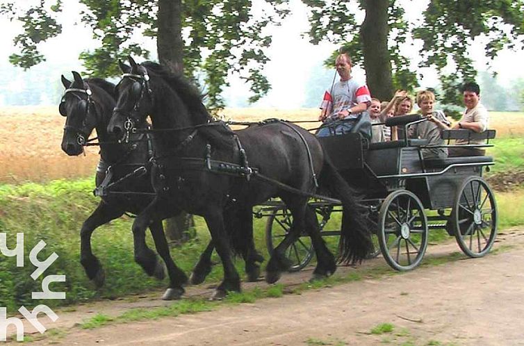 DG631