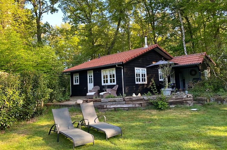 Cottage in Eefde, vacation home in Achterhoek, Gelderland with sunny terrace and green surroundings.
